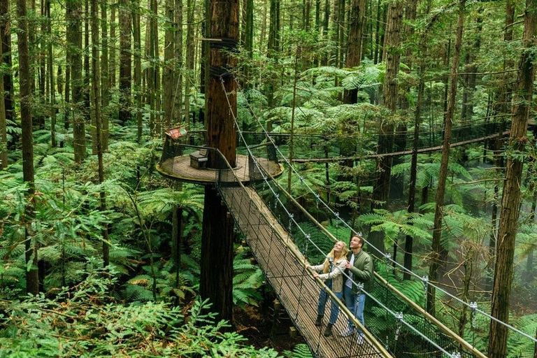 Photo of property in 17 Kohekohe Drive, Owhata, Rotorua, 3010