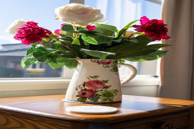 Photo of property in 11 Walter Court, Cambridge, 3434