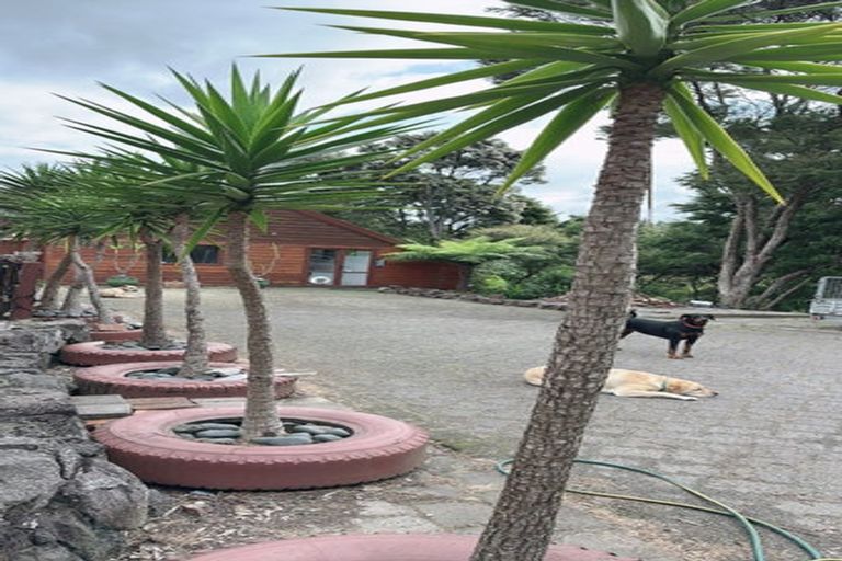 Photo of property in 341 Upper Harbour Drive, Greenhithe, Auckland, 0632