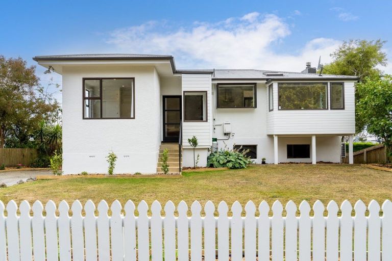 Photo of property in 51 Isadore Road, Saint Clair, Dunedin, 9012