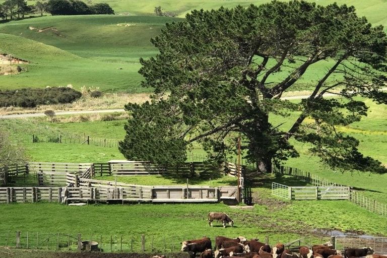 Photo of property in 49 Kai Iwi Lakes Road, Omamari, Dargaville, 0373