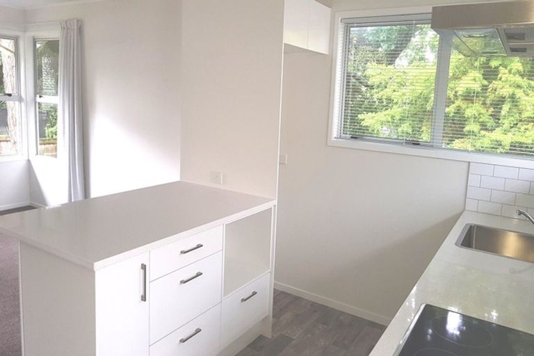 Photo of property in 20 Stanaway Street, Hillcrest, Auckland, 0627