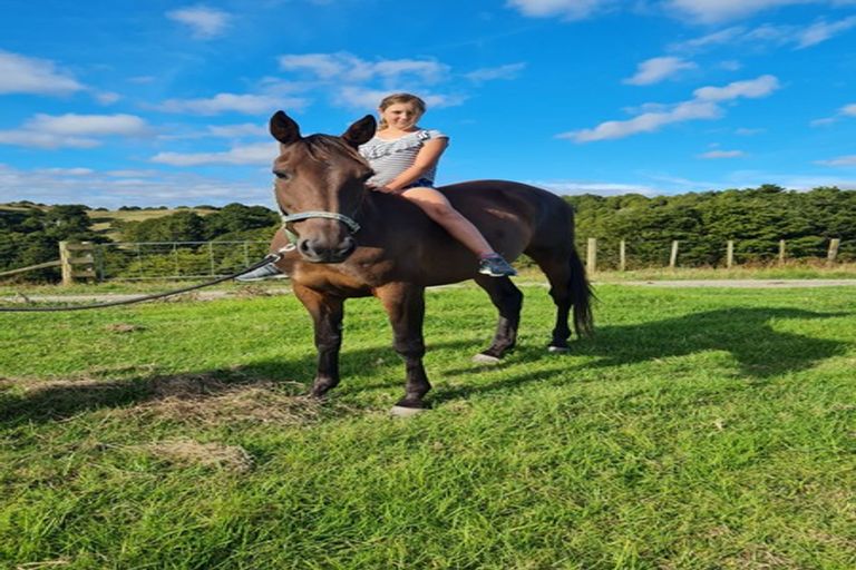 Photo of property in 200 Central Road, Mareretu, Paparoa, 0571