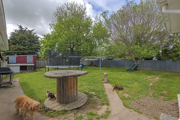 Photo of property in 176 Bridge Street, Bulls, 4818