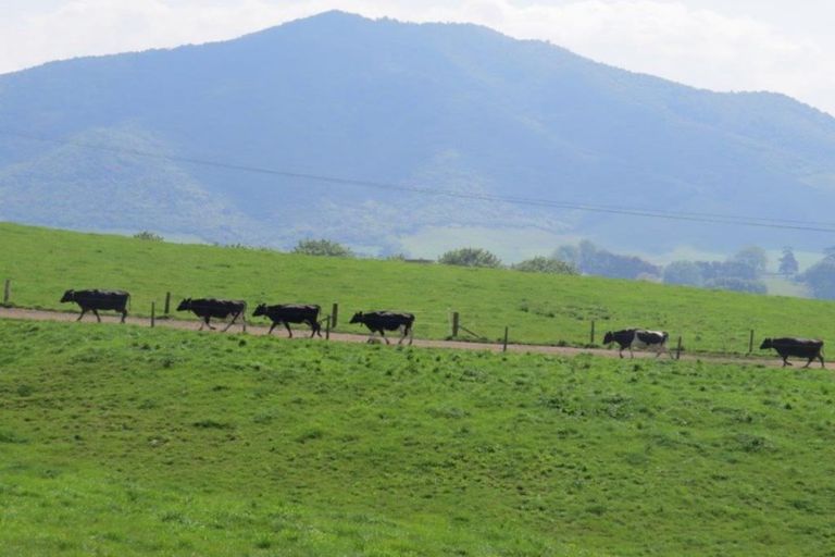 Photo of property in 23 Hinewai Road, Te Kawa, Te Awamutu, 3873