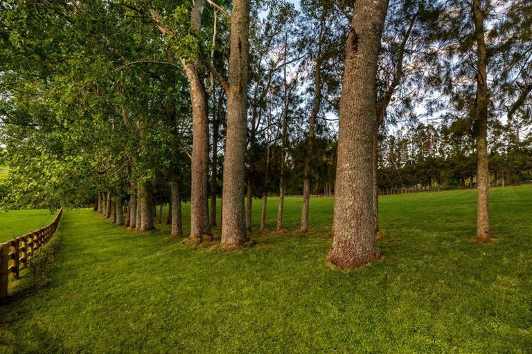 Photo of property in 713 Ararimu Valley Road, Helensville, 0882