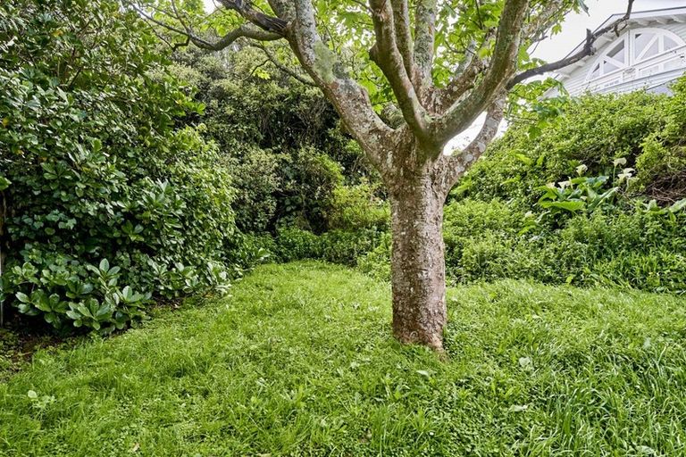 Photo of property in 41 Tio Tio Road, Miramar, Wellington, 6022