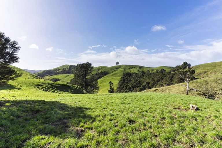 Photo of property in 309c Wentworth Valley Road, Whangamata, 3691