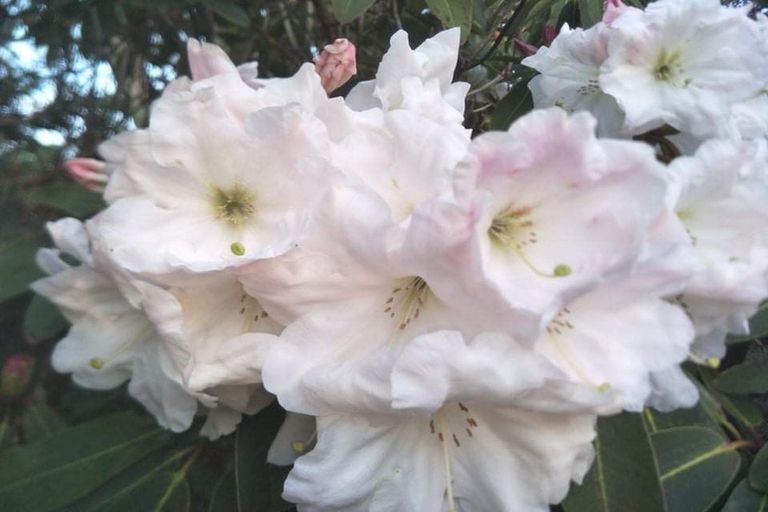 Photo of property in 1 Chamberlain Street, Waimangaroa, Westport, 7891