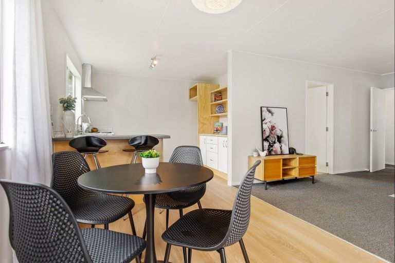 Photo of property in 45 Green Avenue, Levin, 5510