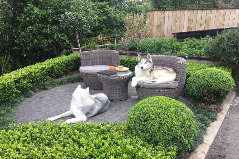 Photo of property in 7 Cheverton Place, Saint Heliers, Auckland, 1071