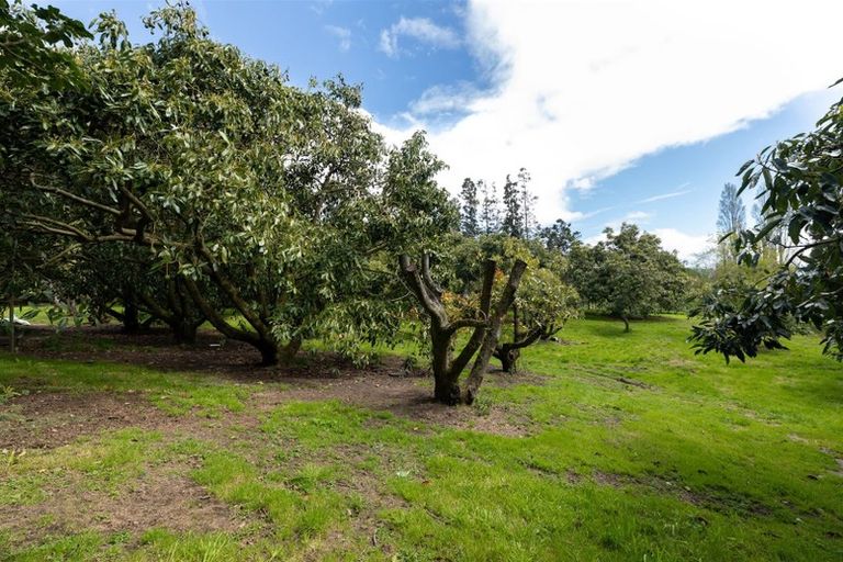 Photo of property in 10 Kenana Road, Te Puke, 3186