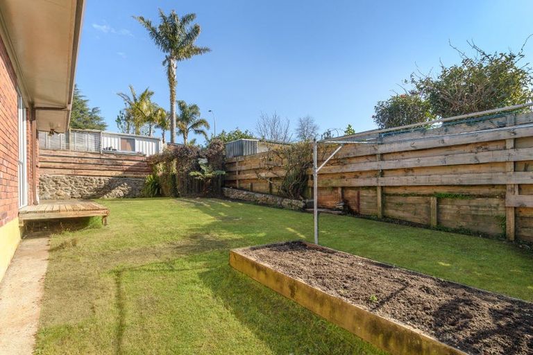 Photo of property in 1b Birmingham Street, Judea, Tauranga, 3110