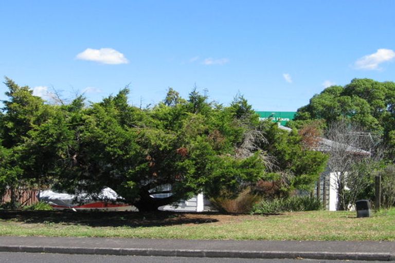 Photo of property in 45 Oreil Avenue, West Harbour, Auckland, 0618