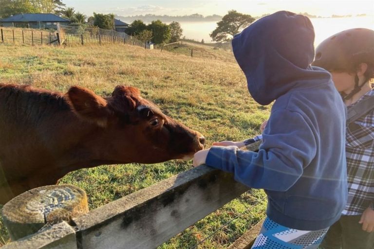 Photo of property in 38 Donaldson Drive, Coatesville, Albany, 0793