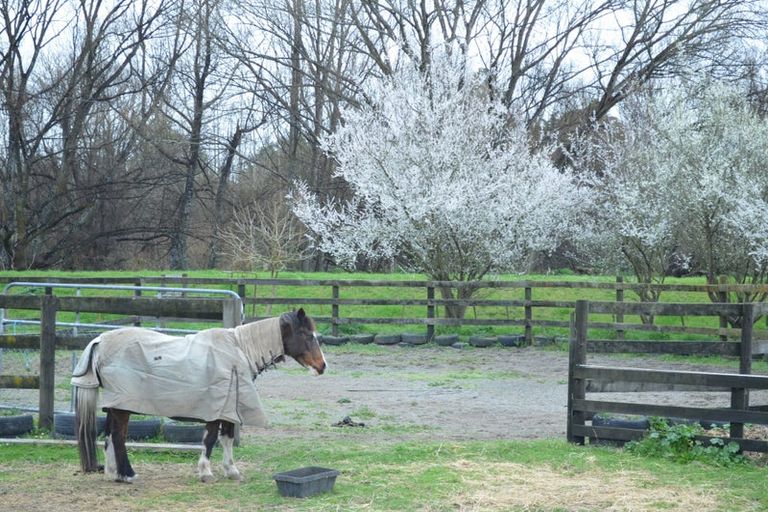 Photo of property in 2966 State Highway 2, Waipukurau, 4281