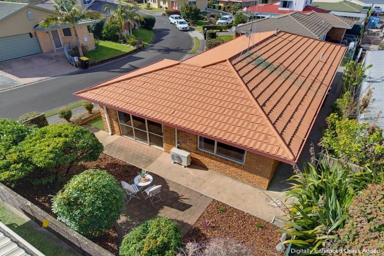 Photo of property in 6 Racecourse Way, Gate Pa, Tauranga, 3112
