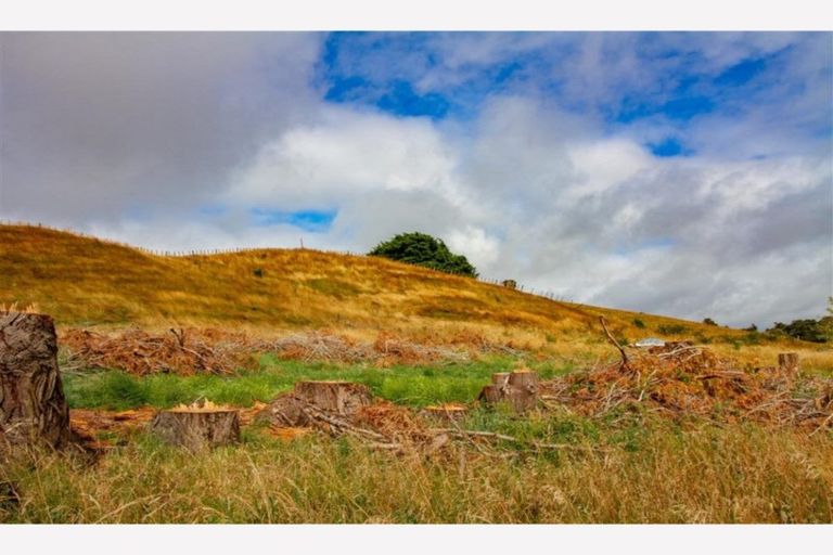 Photo of property in 151 Burns Street, Ohakune, 4625