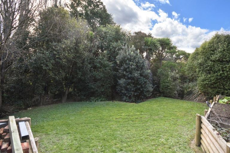 Photo of property in 37 Duckworth Street, Andersons Bay, Dunedin, 9013