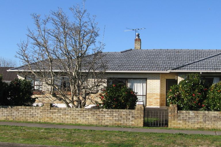 Photo of property in 135 Old Wairoa Road, Papakura, 2110