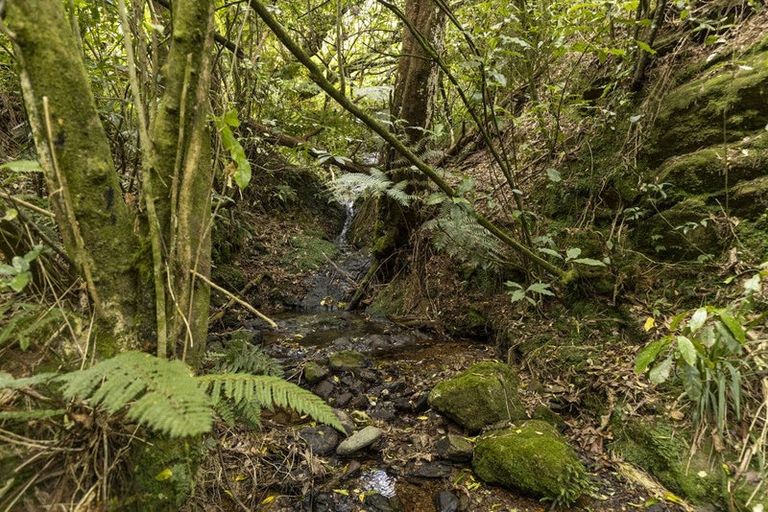 Photo of property in 920 Wakamarina Road, Wakamarina, Havelock, 7178