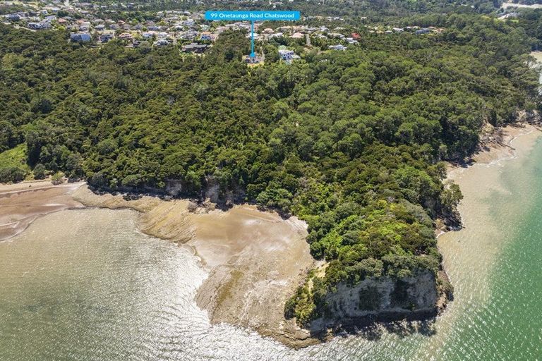 Photo of property in 99 Onetaunga Road, Chatswood, Auckland, 0626