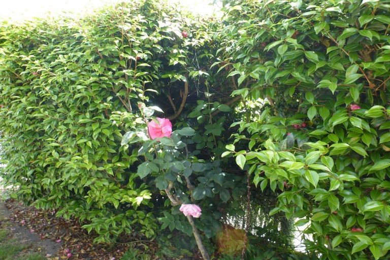 Photo of property in 2/32 Brittan Street, Linwood, Christchurch, 8011