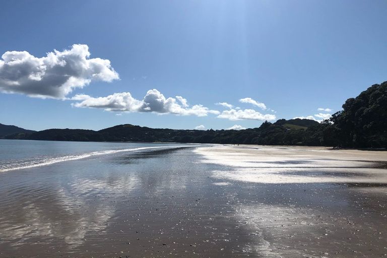 Photo of property in 19 Bayside Drive, Coopers Beach, 0420