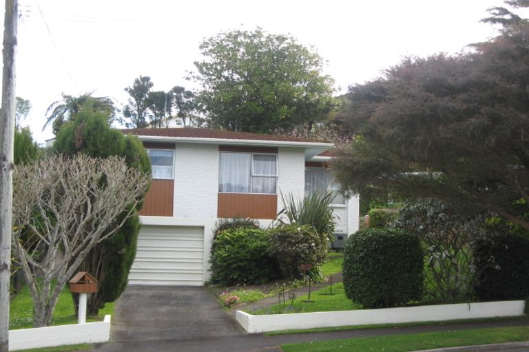 Photo of property in 15 Elizabeth Place, Ferndale, New Plymouth, 4310