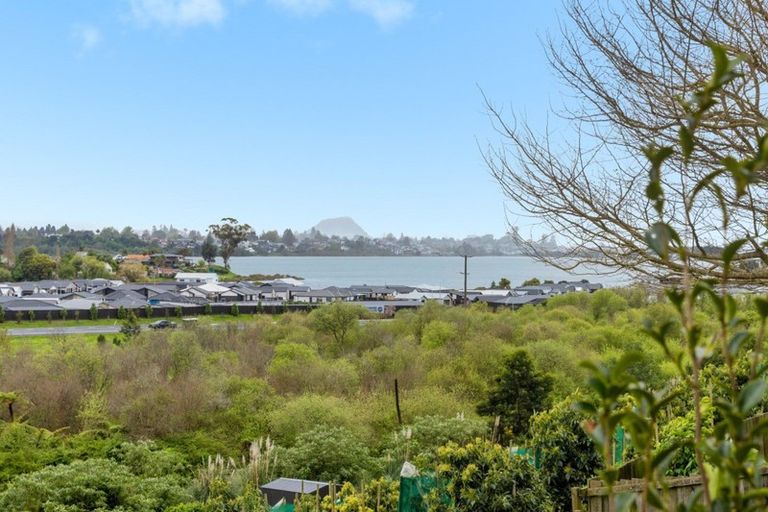 Photo of property in 79 Sapphire Drive, Hairini, Tauranga, 3112