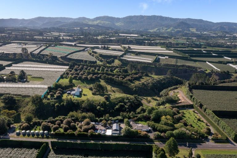 Photo of property in 612 No 1 Road, Te Puke, 3182