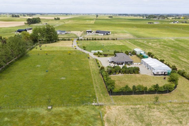 Photo of property in 271 Reid Line East, Aorangi, Feilding, 4775