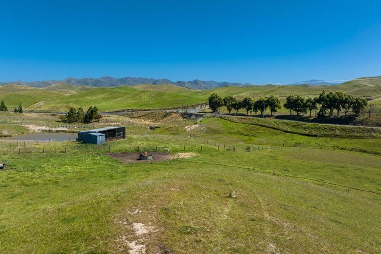 Photo of property in 363 Caseys Road, Lake Grassmere, Seddon, 7285