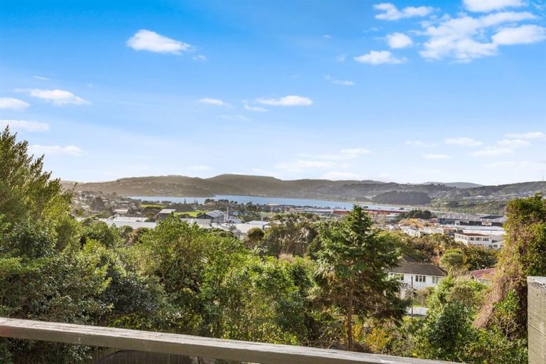 Photo of property in 21 Waiho Terrace, Elsdon, Porirua, 5022