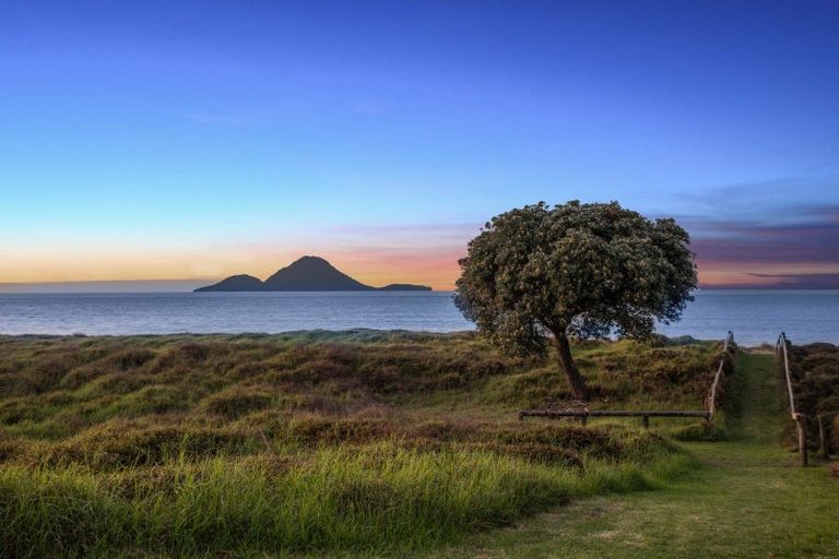 Photo of property in 14 Commodores Close, Coastlands, Whakatane, 3120