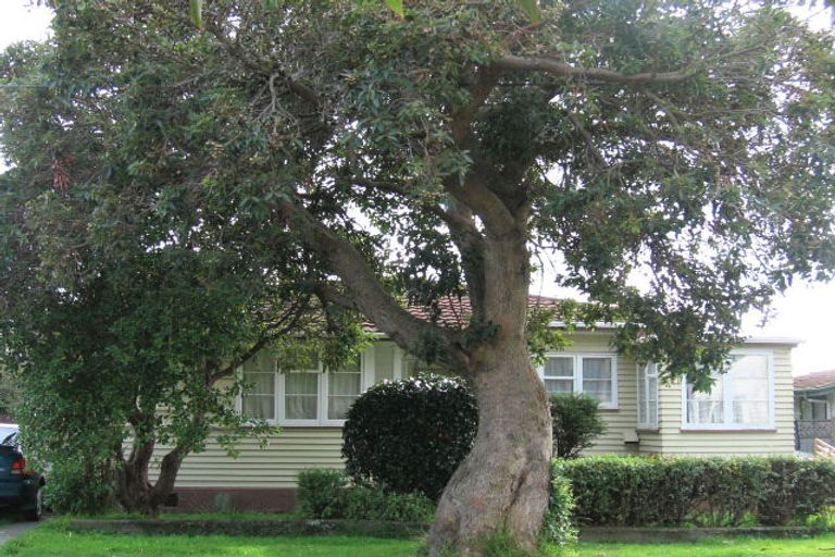 Photo of property in 39 Lincoln Avenue, Epuni, Lower Hutt, 5011