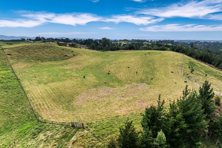 Photo of property in 371 Esdaile Road, Whakamarama, Tauranga, 3180