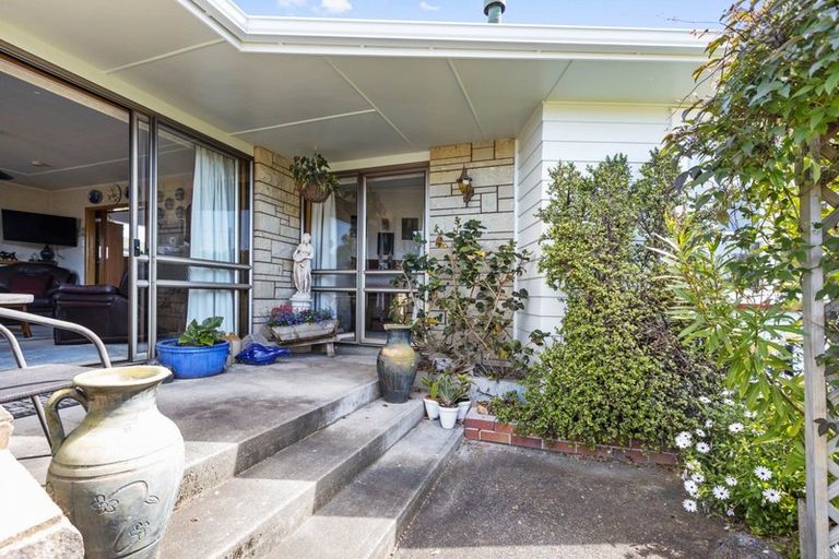 Photo of property in 43 Fergusson Street, Solway, Masterton, 5810