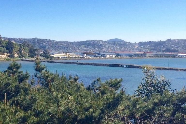 Photo of property in 42 Marne Street, Andersons Bay, Dunedin, 9013