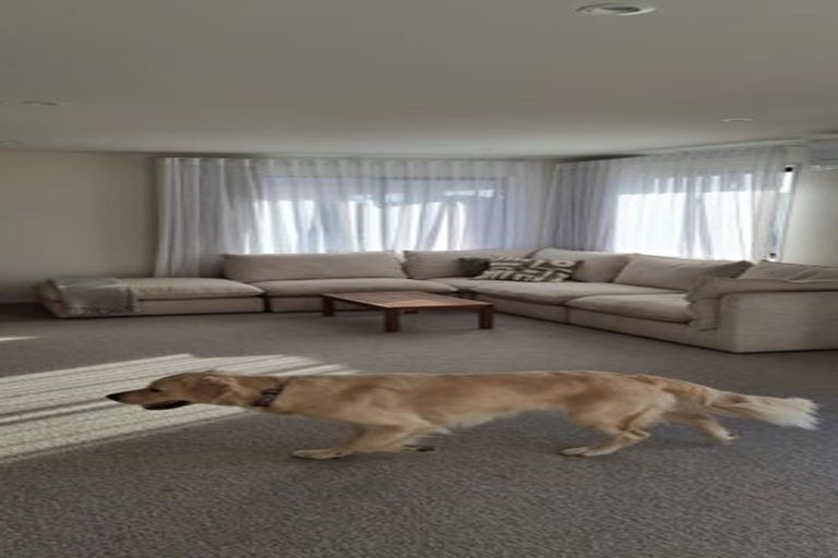 Photo of property in 21 Shepperton Street, Appleby, Richmond, 7020