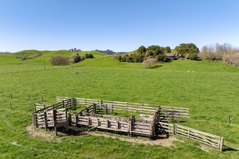 Photo of property in 186 Flume Road, Te Miro, Cambridge, 3496