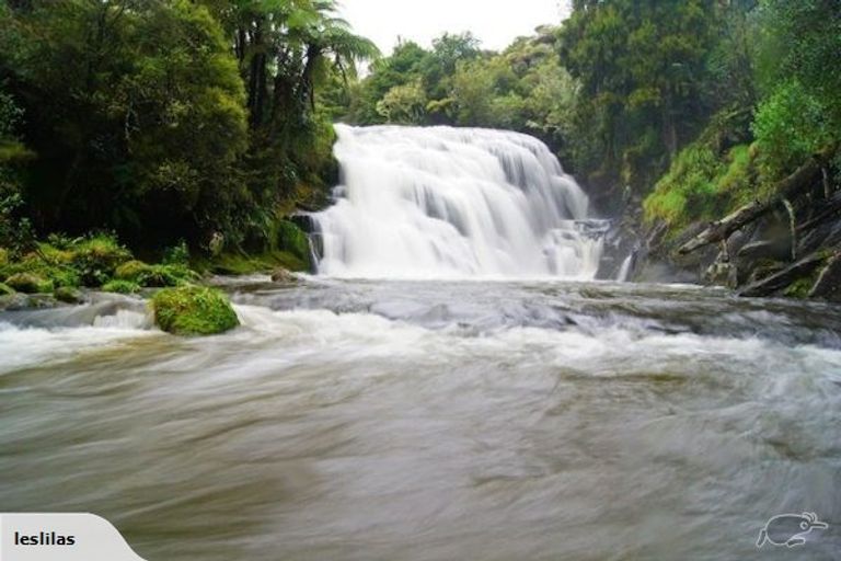 Photo of property in 229c Warner Road, Oropi, Tauranga, 3173