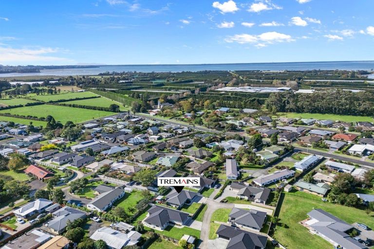 Photo of property in 22b Clive Road, Katikati, 3129