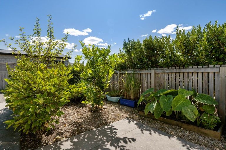 Photo of property in 24 Foley Grove, Pyes Pa, Tauranga, 3110