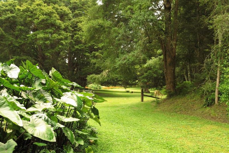 Photo of property in 130 Gibbons Road, Kaiwaka, 0573