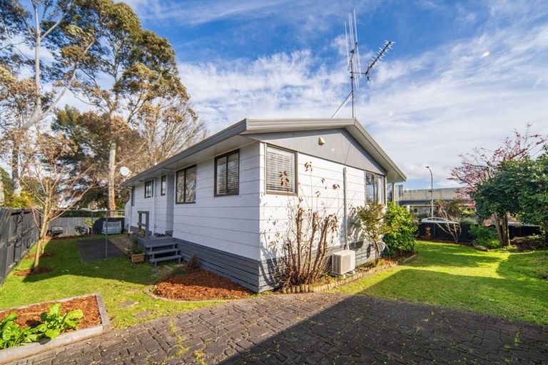 Photo of property in 45 Alison Street, Hamilton Lake, Hamilton, 3204