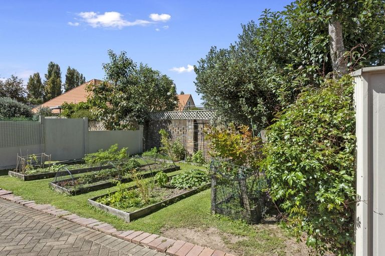 Photo of property in 83 Harrowfield Drive, Harrowfield, Hamilton, 3210