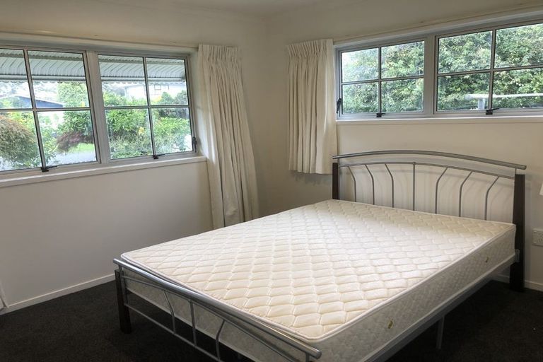 Photo of property in 97 Fitzroy Avenue, Fitzroy, Hamilton, 3206