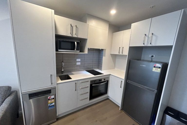 Photo of property in Kawarau Residences, 301/16a Mountain Ash Drive, Frankton, Queenstown, 9300