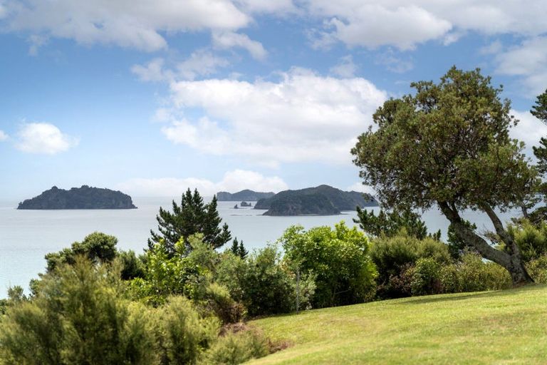 Photo of property in 1114 Colville Road, Amodeo Bay, Coromandel, 3584